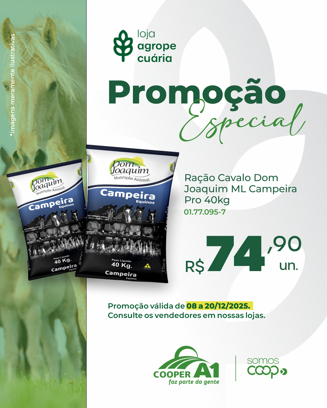 Promoção Especial