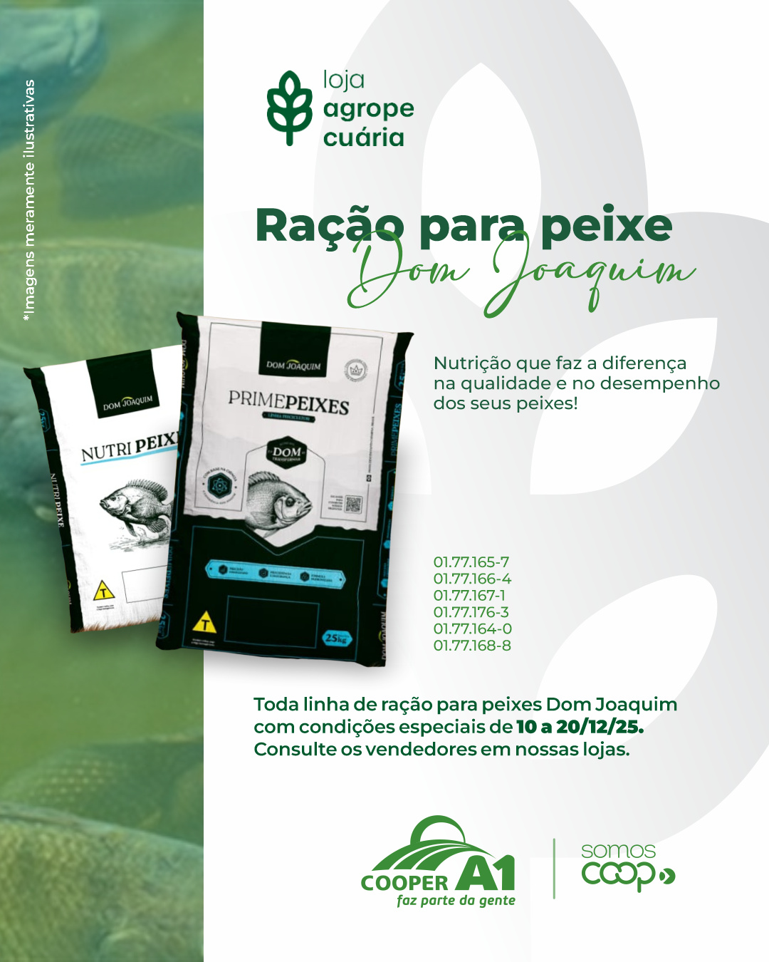 Ração para Peixe Dom Joaquim