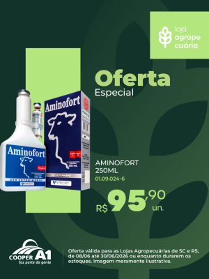 Oferta Especial