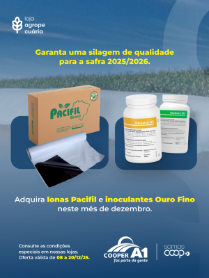 Condições Especiais