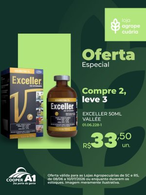 Oferta Especial