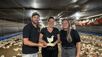 AVICULTURA: Destaque do m&ecirc;s de novembro 