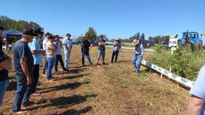 O sistema de plantio direto, tem como objetivo diminuir a eros&atilde;o e aumentar a qualidade qu&iacute;mica, f&iacute;sica e biol&oacute;gica do solo<br/>