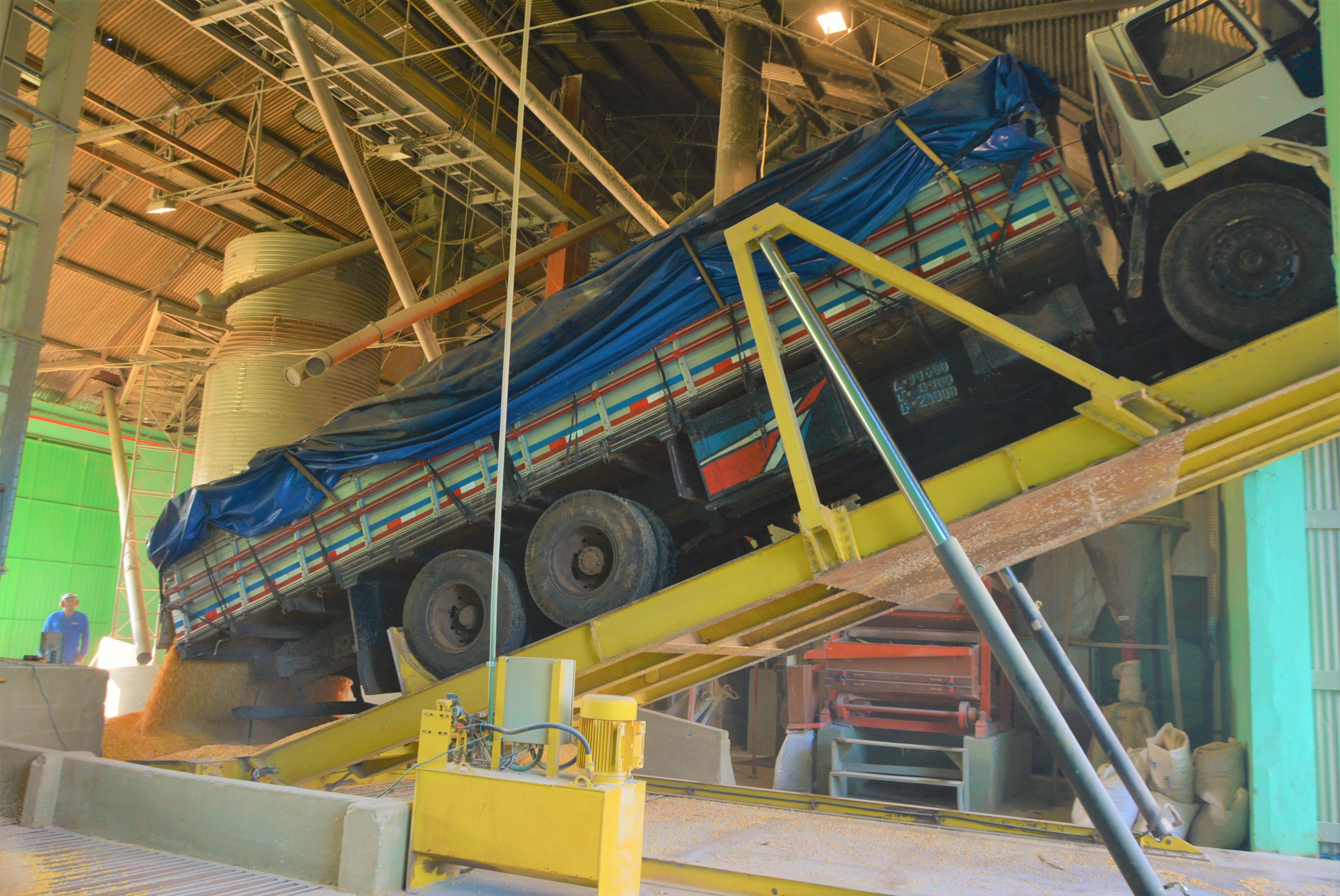 SAFRA DE MILHO:  Cooper A1 espera receber 150 mil toneladas de milho até o fim da colheita