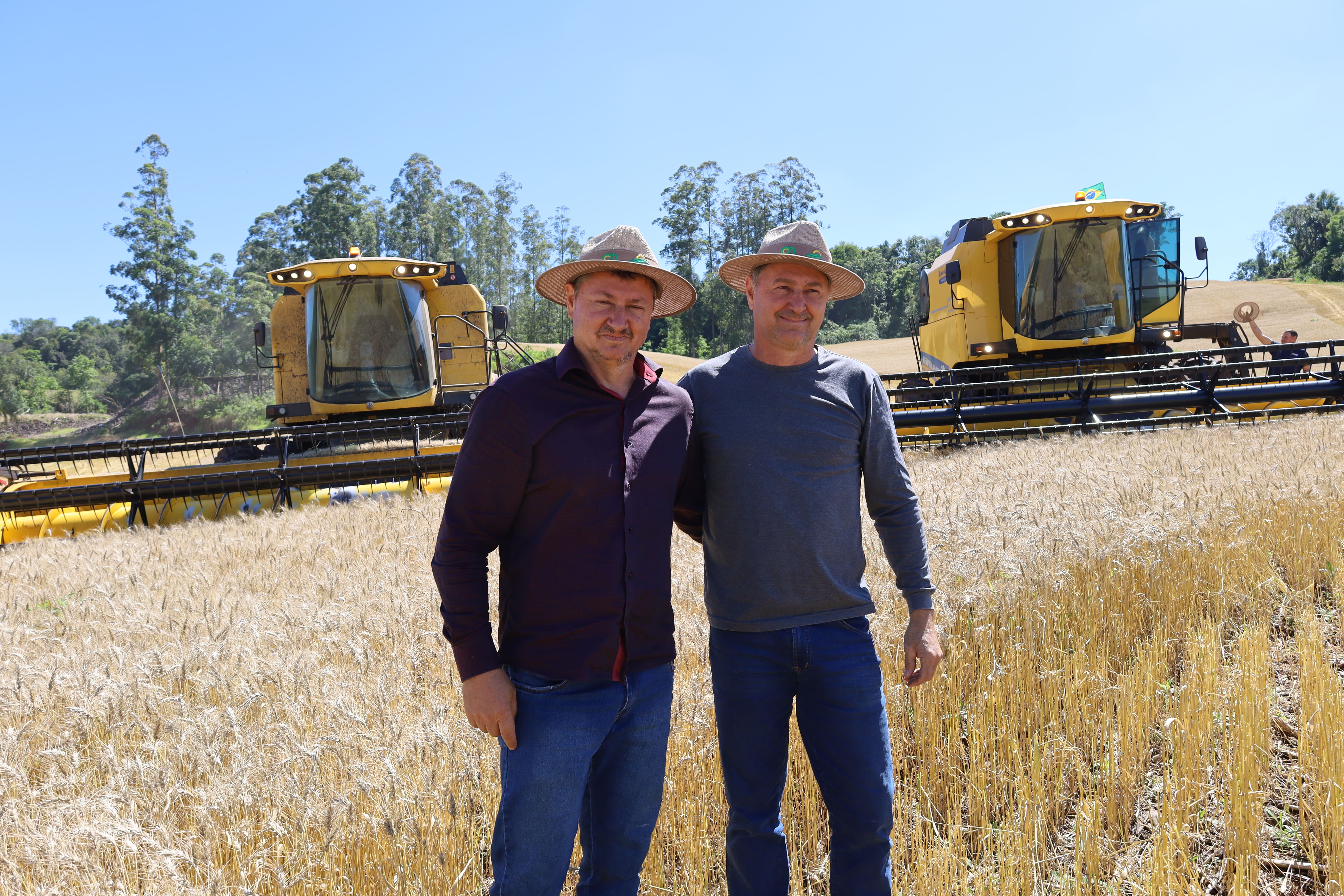 Safra Dourada da família Miotto