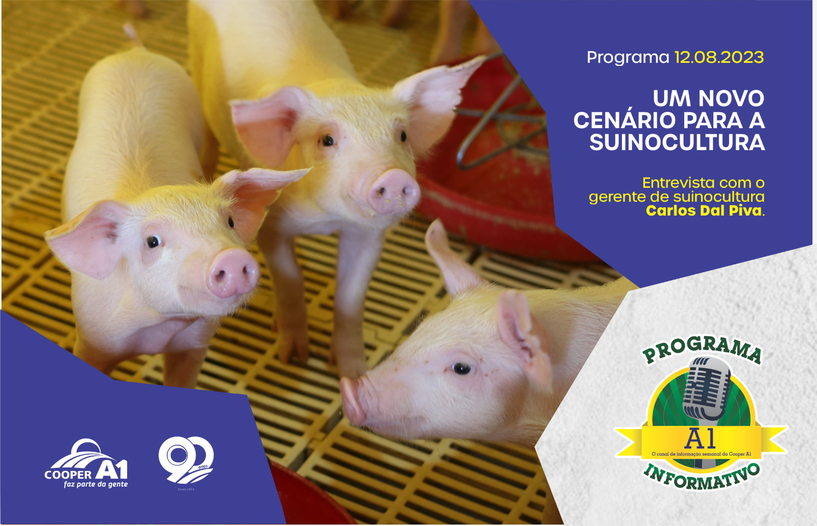 INFORMATIVO A1 12.08.23: UM NOVO CENÁRIO PARA A SUINOCULTURA 